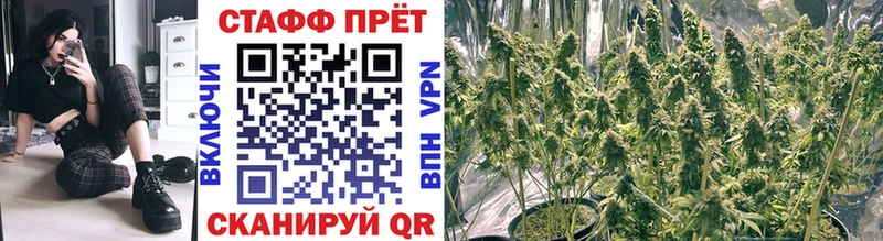 Где купить наркотики Мценск Конопля  COCAIN  ТГК  Меф мяу мяу 