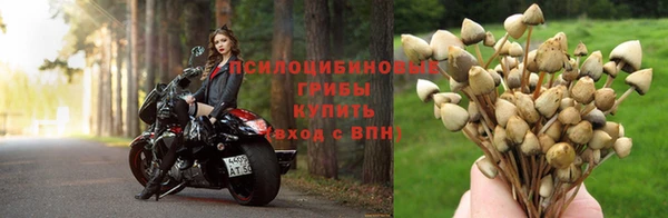 mdpv Коряжма