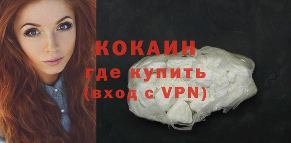 мет Болотное