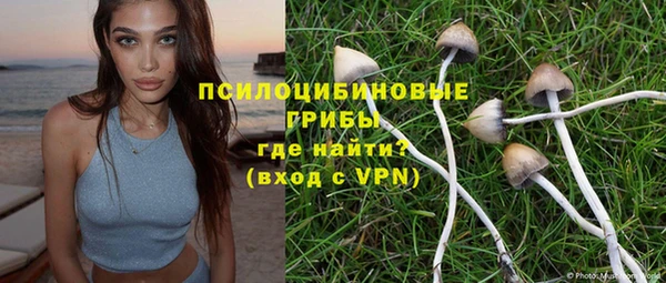 apvp Волосово