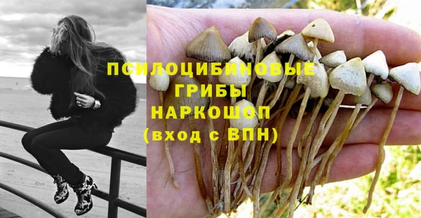 спиды Корсаков