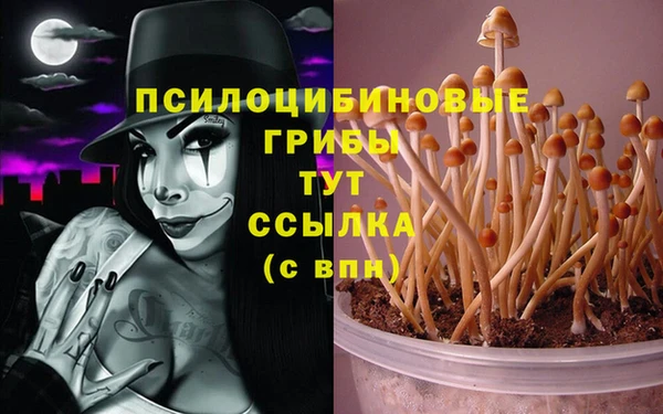 бутират Костерёво