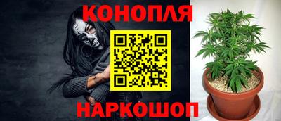 круглые Кингисепп