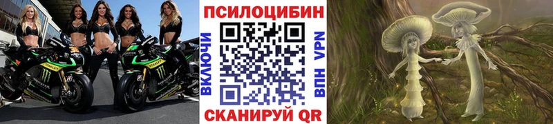 hydra ссылки  Мценск  Псилоцибиновые грибы Cubensis  дарнет шоп 