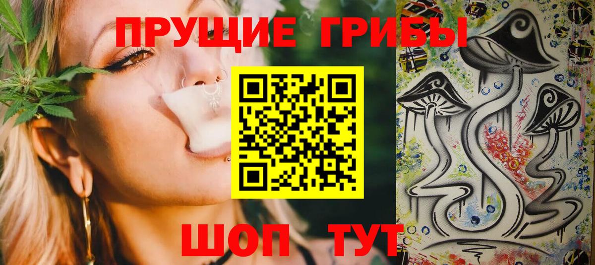 Мценск  Галлюциногенные грибы Cubensis  Вход с VPN  Галлюциногенные грибы прущие грибы 